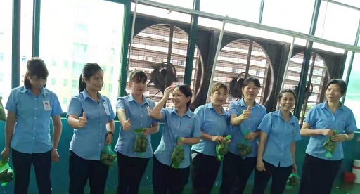 世豹新能源鋰電池廠家,向組裝pack生產線發放端午福利